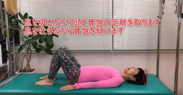 03-04_息を吸いながら頭と骨盤の距離を取ります息を吐きながら骨盤を傾けます