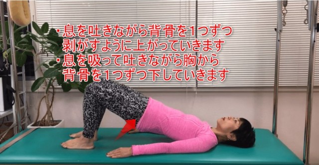 03-05_・息を吐きながら背骨を1つずつ 剥がすように上がっていきます・息を吸って吐きながら胸から 背骨を1つずつ下していきます