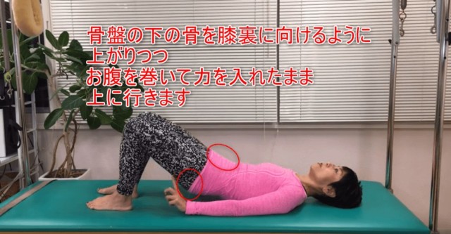 03-06_骨盤の下の骨を膝裏に向けるように上がりつつお腹を巻いて力を入れたまま上に行きます