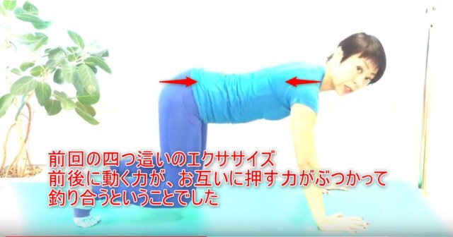 11-04_前回の四つ這いのエクササイズ前後に動く力が、お互いに押す力がぶつかって釣り合うということでした