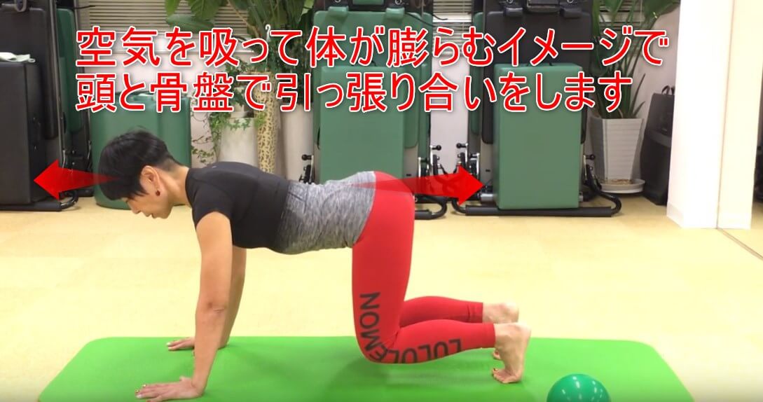 24-05_空気を吸って体が膨らむイメージで頭と骨盤で引っ張り合いをします
