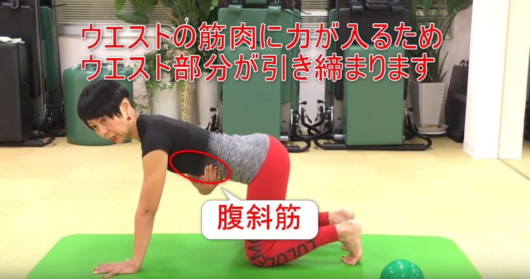 24-06_ウエストの筋肉に力が入るためウエスト部分が引き締まります