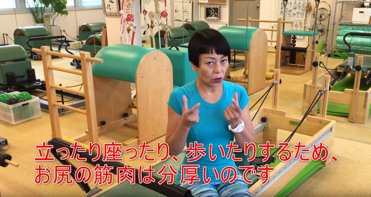 47-04_立ったり座ったり、歩いたりするため、お尻の筋肉は分厚いのです