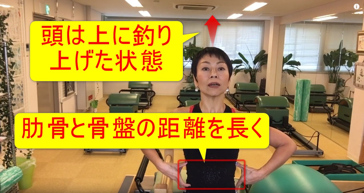 55-08_肋骨と骨盤の距離を長く、頭は上に釣り上げた状態