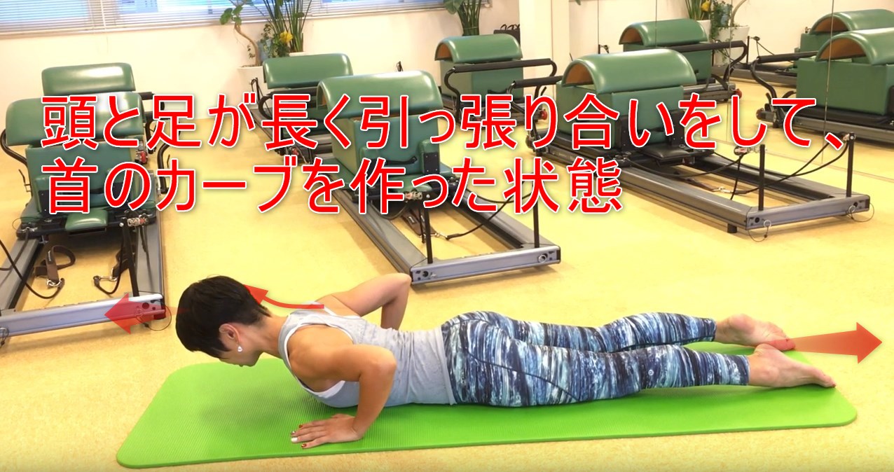 56-02_頭と足が長く引っ張り合いをして、首のカーブを作った状態