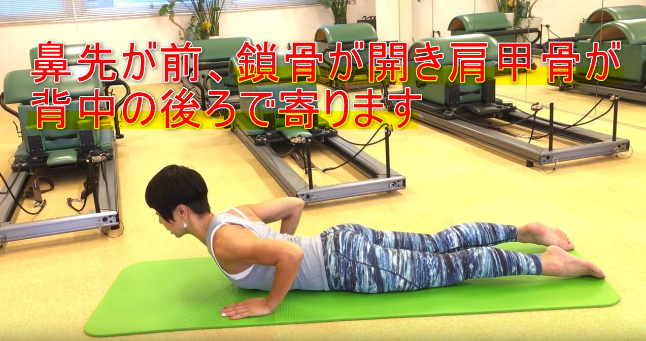 56-03_鼻先が前、鎖骨が開き肩甲骨が背中の後ろで寄ります