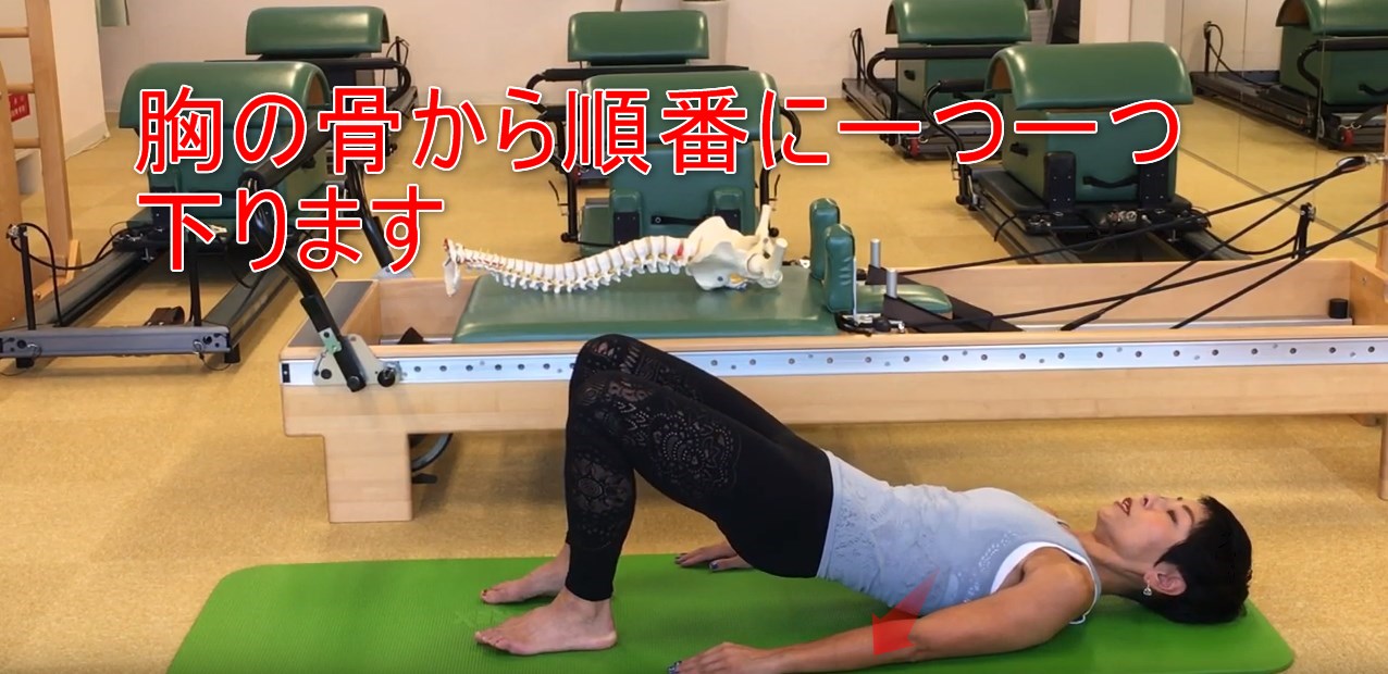 63-06_胸の骨から順番に一つ一つ下ります