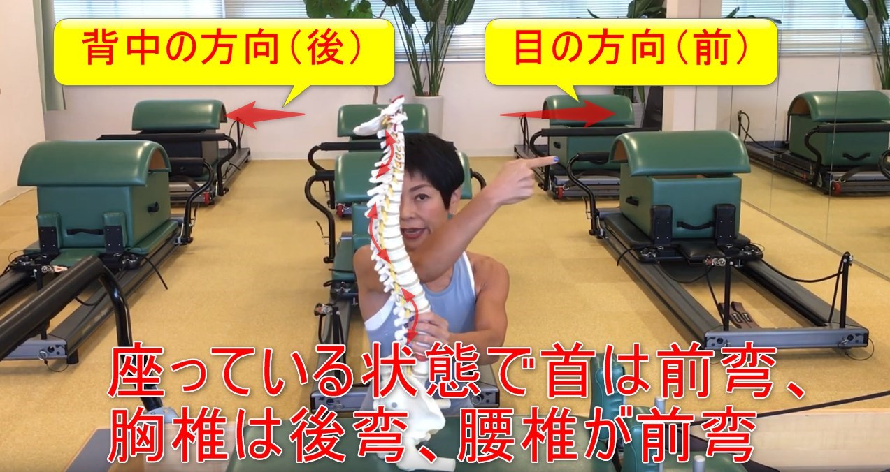 68-03_座っている状態で首は前弯、胸椎は後弯、腰椎が前弯