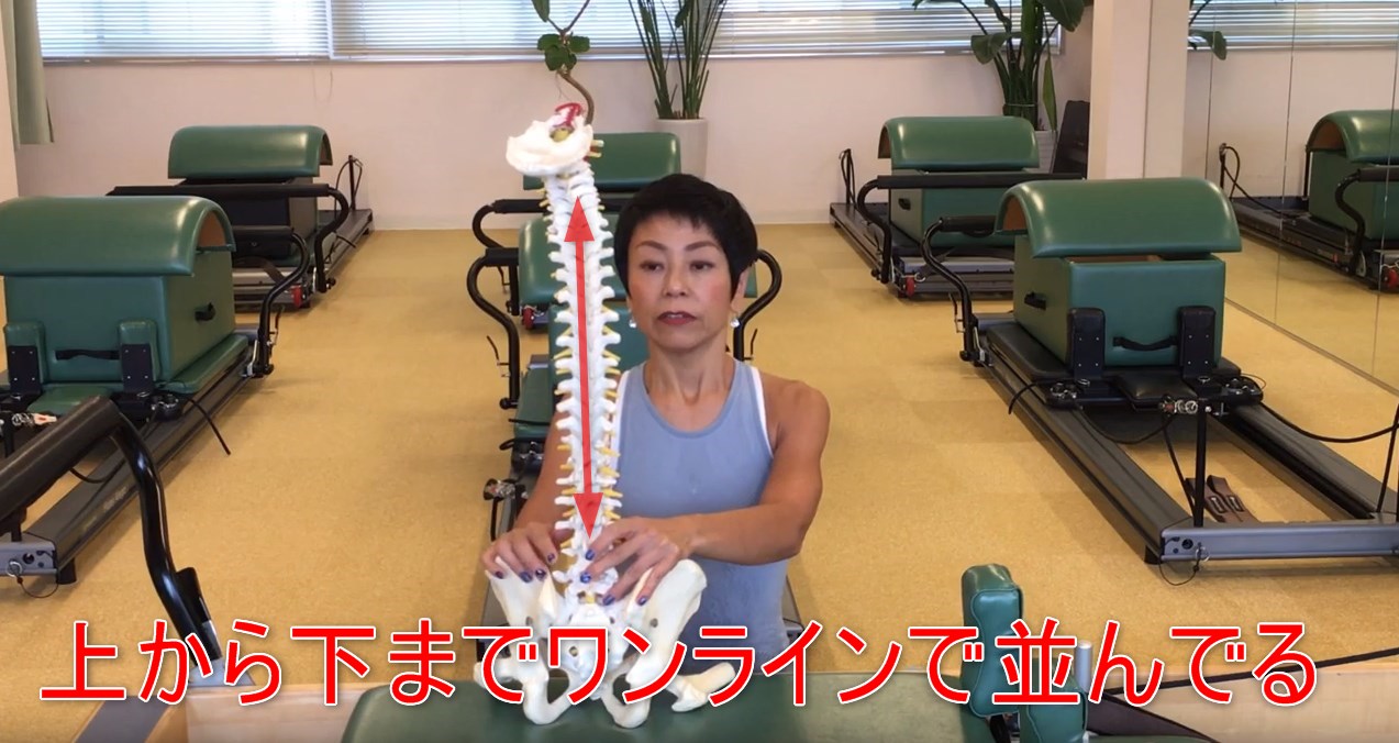 68-04_上から下までワンラインで並んでる