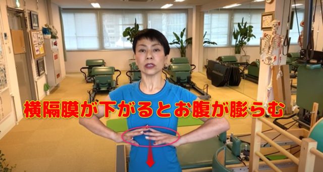 なぜお腹が膨らむのか?横隔膜が下がるときにお腹が膨らむ