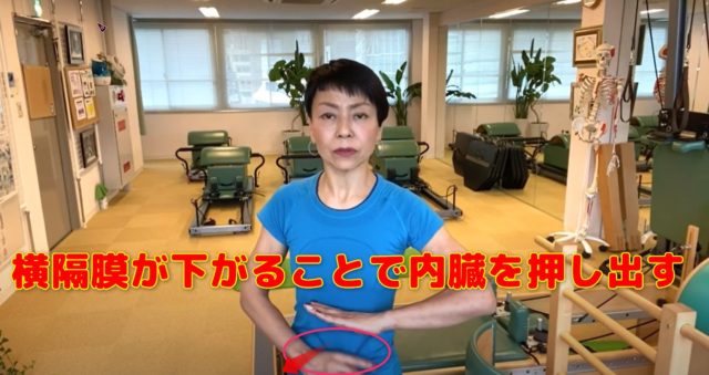 横隔膜が下がることで内臓を押し出す