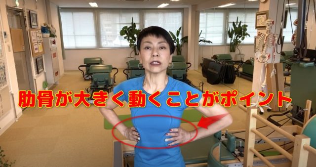 肋骨が柔らかく動きが大きいほど深い呼吸が可能