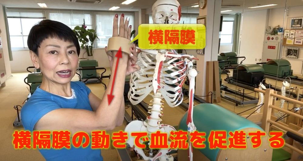 横隔膜の動くメリットは?