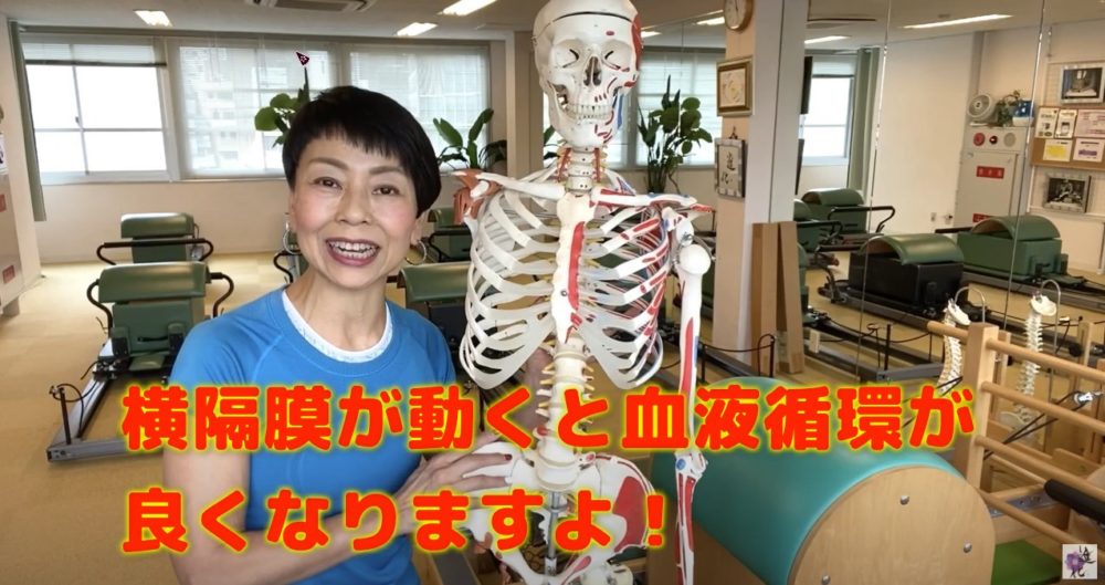 呼吸による横隔膜の動きが身体に与える影響のまとめ