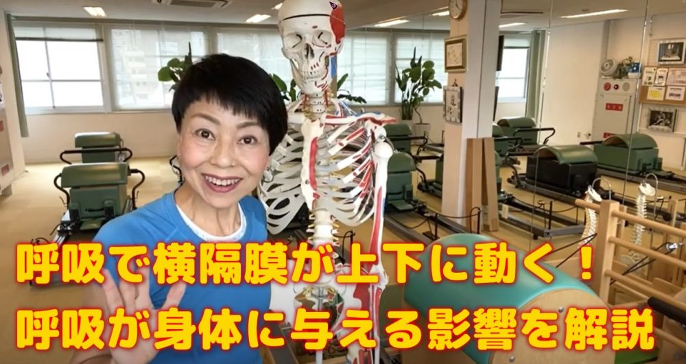 呼吸をすると横隔膜が上下に動く!深い呼吸が身体に与える影響を解説